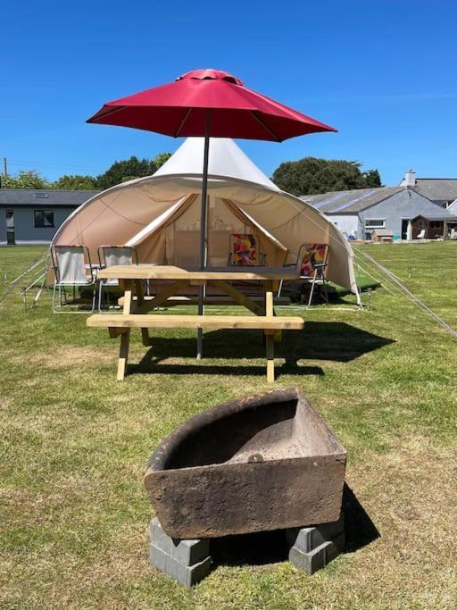 Cox Hill Glamping Badger Otel Truro Dış mekan fotoğraf